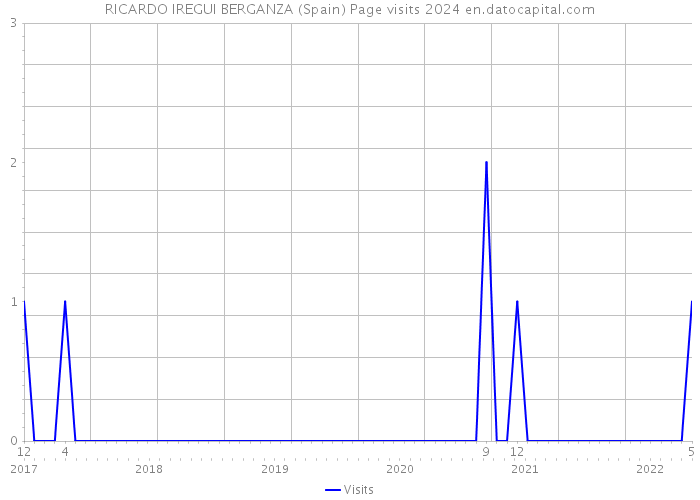 RICARDO IREGUI BERGANZA (Spain) Page visits 2024 