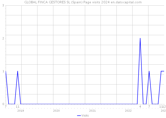 GLOBAL FINCA GESTORES SL (Spain) Page visits 2024 