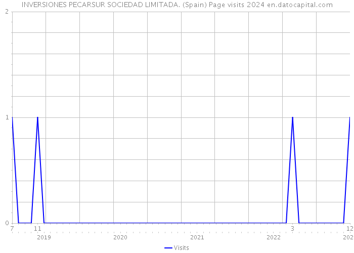 INVERSIONES PECARSUR SOCIEDAD LIMITADA. (Spain) Page visits 2024 