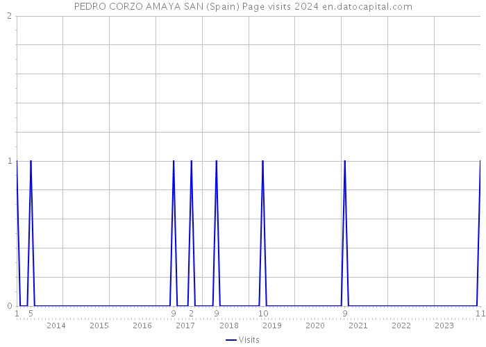PEDRO CORZO AMAYA SAN (Spain) Page visits 2024 