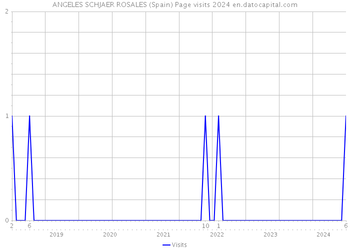 ANGELES SCHJAER ROSALES (Spain) Page visits 2024 