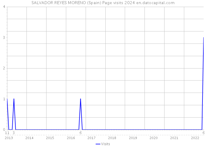 SALVADOR REYES MORENO (Spain) Page visits 2024 