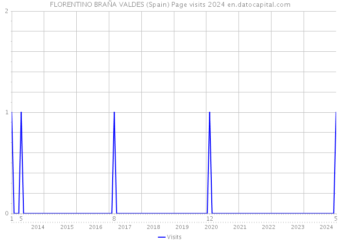 FLORENTINO BRAÑA VALDES (Spain) Page visits 2024 