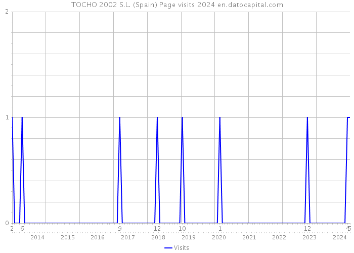 TOCHO 2002 S.L. (Spain) Page visits 2024 
