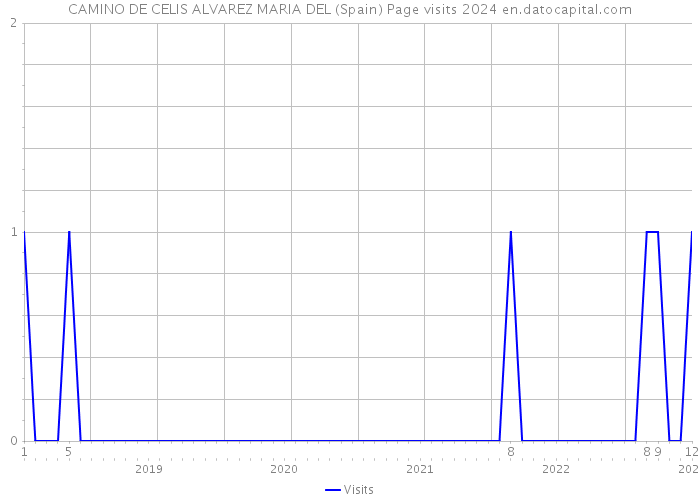 CAMINO DE CELIS ALVAREZ MARIA DEL (Spain) Page visits 2024 