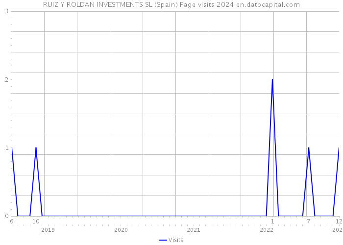 RUIZ Y ROLDAN INVESTMENTS SL (Spain) Page visits 2024 