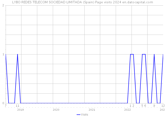 LYBO REDES TELECOM SOCIEDAD LIMITADA (Spain) Page visits 2024 