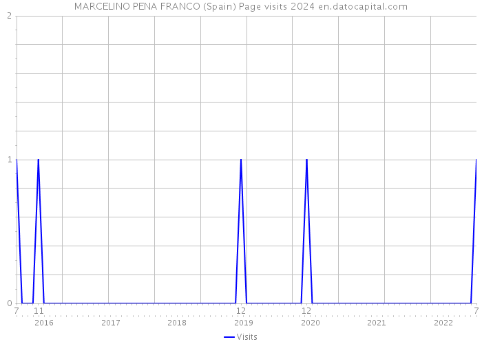 MARCELINO PENA FRANCO (Spain) Page visits 2024 