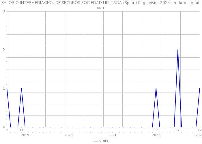 SALORIO INTERMEDIACION DE SEGUROS SOCIEDAD LIMITADA (Spain) Page visits 2024 