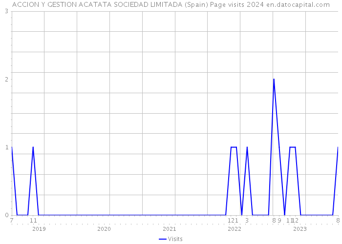 ACCION Y GESTION ACATATA SOCIEDAD LIMITADA (Spain) Page visits 2024 