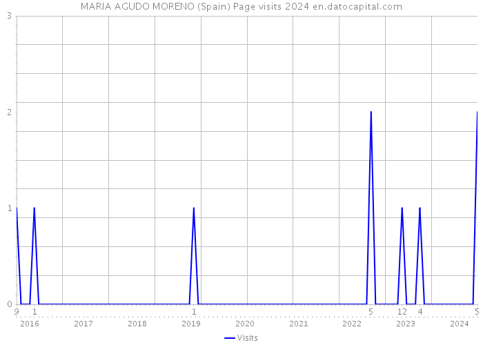 MARIA AGUDO MORENO (Spain) Page visits 2024 