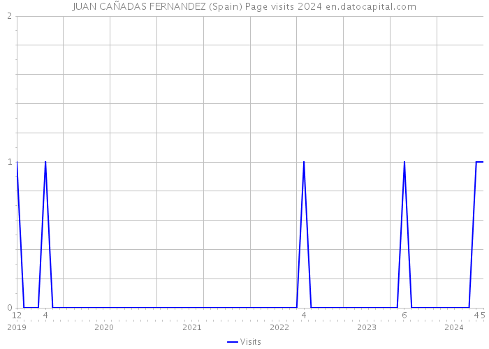 JUAN CAÑADAS FERNANDEZ (Spain) Page visits 2024 