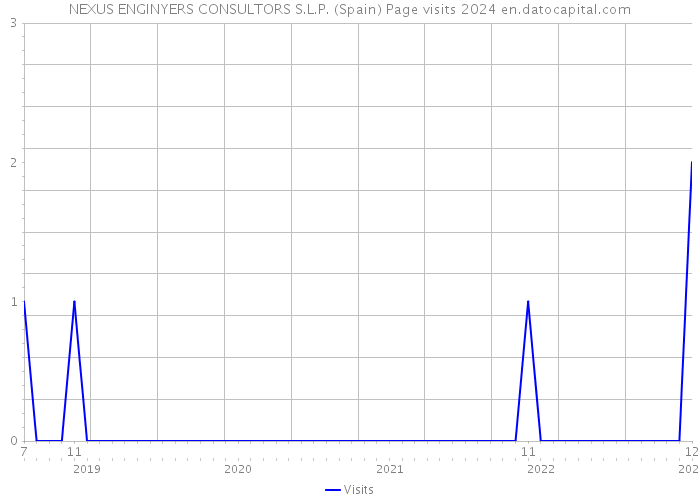 NEXUS ENGINYERS CONSULTORS S.L.P. (Spain) Page visits 2024 