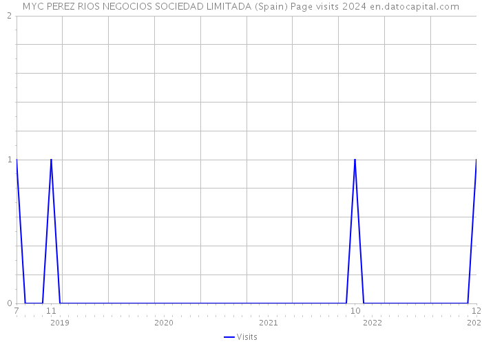 MYC PEREZ RIOS NEGOCIOS SOCIEDAD LIMITADA (Spain) Page visits 2024 