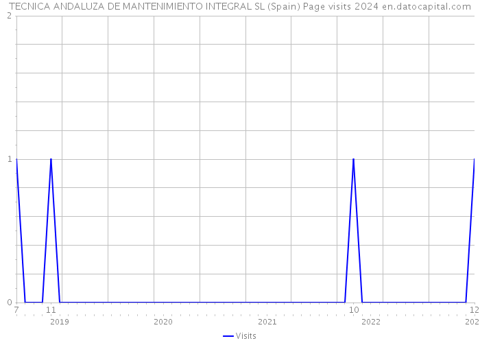 TECNICA ANDALUZA DE MANTENIMIENTO INTEGRAL SL (Spain) Page visits 2024 