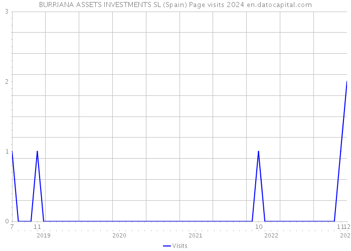 BURRIANA ASSETS INVESTMENTS SL (Spain) Page visits 2024 