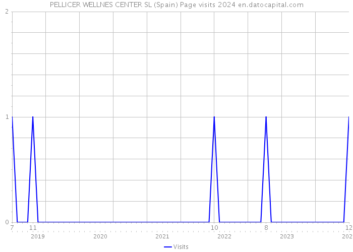 PELLICER WELLNES CENTER SL (Spain) Page visits 2024 