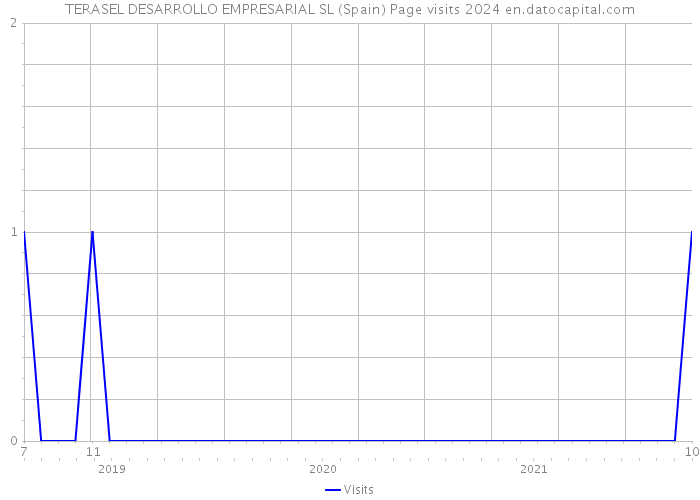 TERASEL DESARROLLO EMPRESARIAL SL (Spain) Page visits 2024 