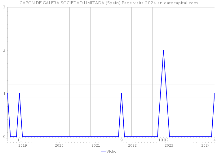 CAPON DE GALERA SOCIEDAD LIMITADA (Spain) Page visits 2024 