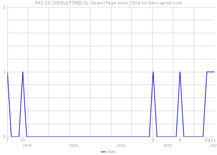 PAZ 29 CONSULTORES SL (Spain) Page visits 2024 