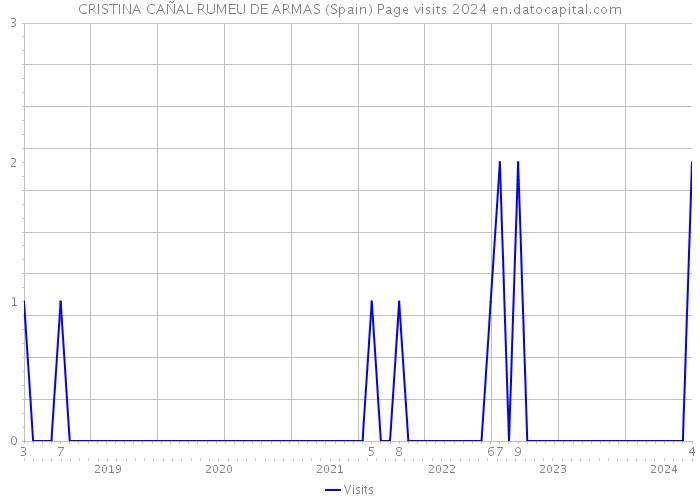 CRISTINA CAÑAL RUMEU DE ARMAS (Spain) Page visits 2024 