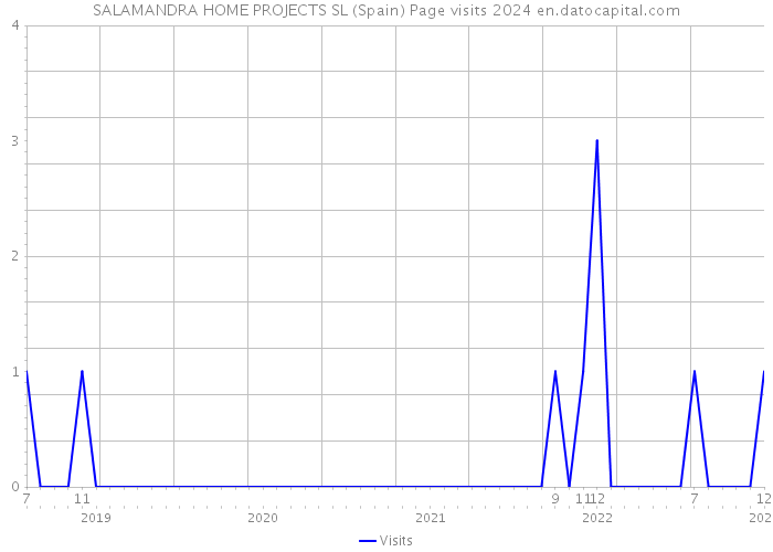 SALAMANDRA HOME PROJECTS SL (Spain) Page visits 2024 