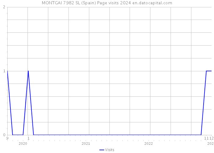 MONTGAI 7982 SL (Spain) Page visits 2024 