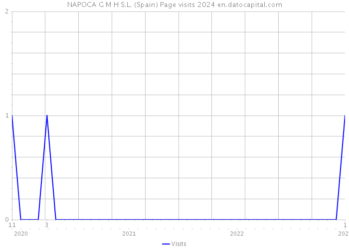 NAPOCA G M H S.L. (Spain) Page visits 2024 