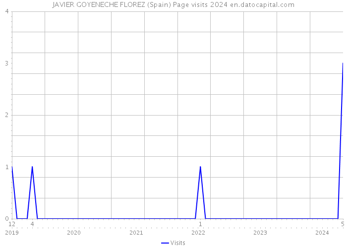 JAVIER GOYENECHE FLOREZ (Spain) Page visits 2024 