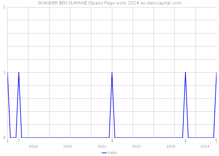 SKANDER BEN SLIMANE (Spain) Page visits 2024 