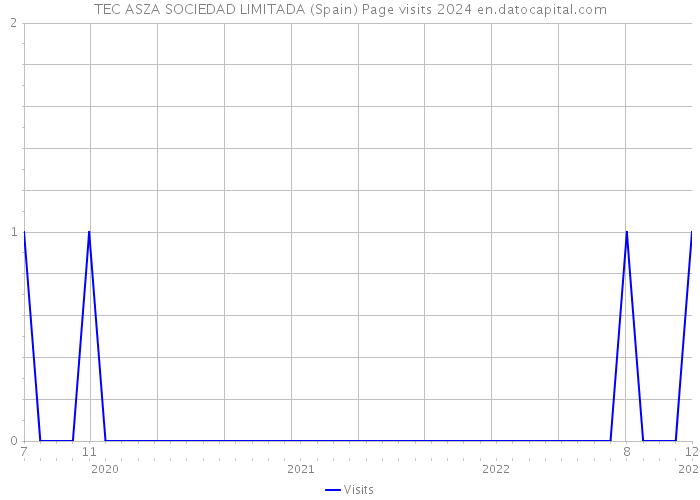 TEC ASZA SOCIEDAD LIMITADA (Spain) Page visits 2024 