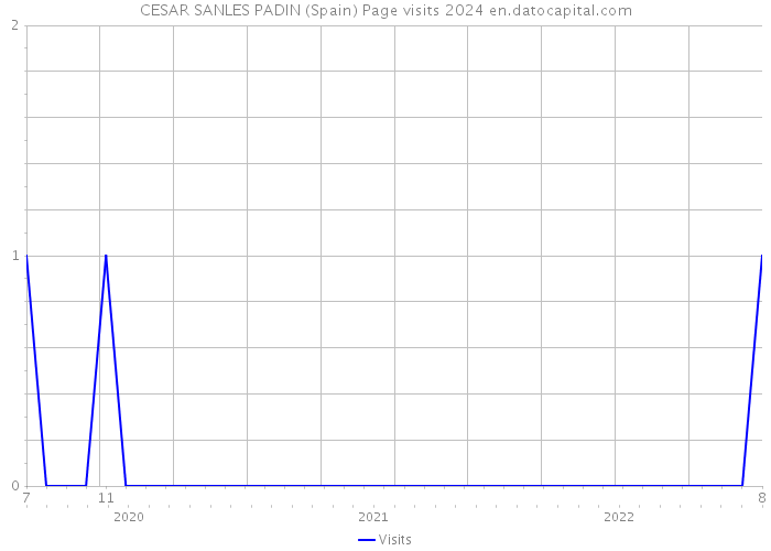 CESAR SANLES PADIN (Spain) Page visits 2024 