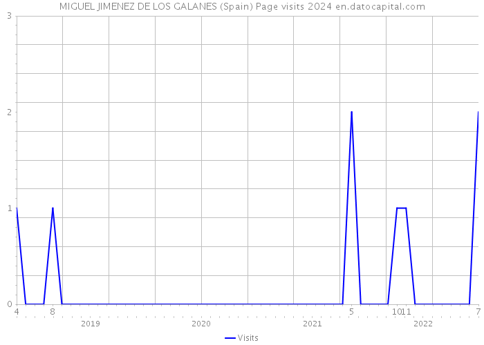 MIGUEL JIMENEZ DE LOS GALANES (Spain) Page visits 2024 