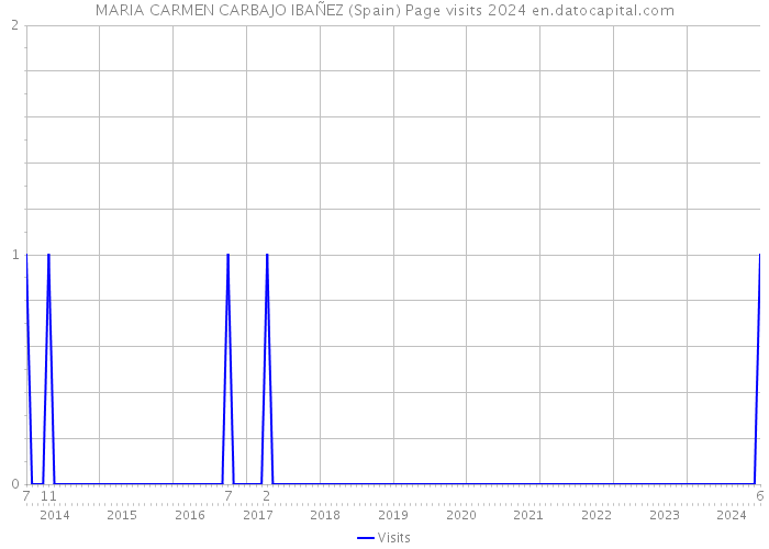 MARIA CARMEN CARBAJO IBAÑEZ (Spain) Page visits 2024 