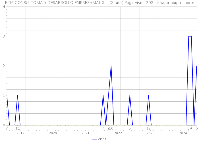 RTM CONSULTORIA Y DESARROLLO EMPRESARIAL S.L. (Spain) Page visits 2024 