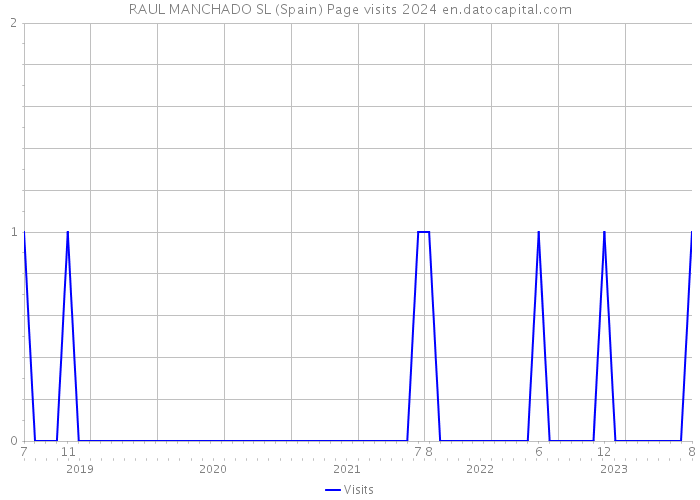 RAUL MANCHADO SL (Spain) Page visits 2024 