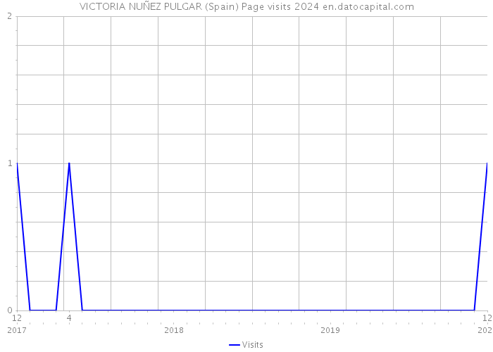 VICTORIA NUÑEZ PULGAR (Spain) Page visits 2024 