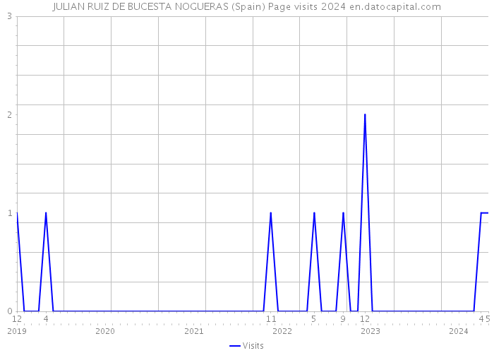 JULIAN RUIZ DE BUCESTA NOGUERAS (Spain) Page visits 2024 