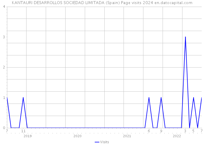 KANTAURI DESARROLLOS SOCIEDAD LIMITADA (Spain) Page visits 2024 