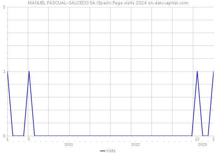 MANUEL PASCUAL-SALCEDO SA (Spain) Page visits 2024 