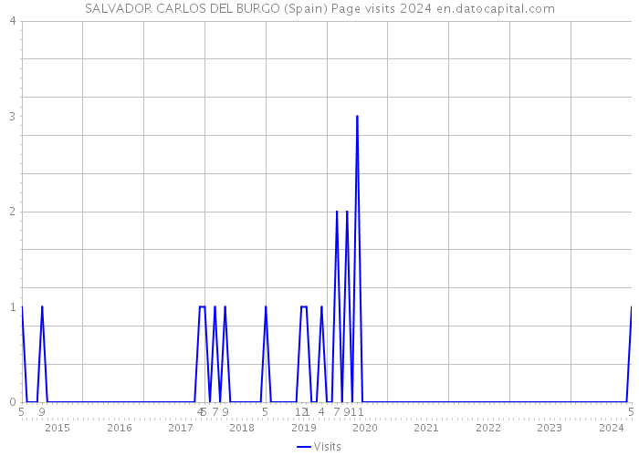 SALVADOR CARLOS DEL BURGO (Spain) Page visits 2024 