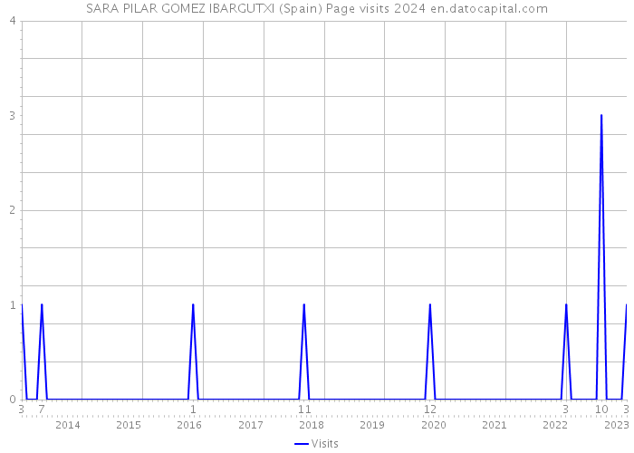 SARA PILAR GOMEZ IBARGUTXI (Spain) Page visits 2024 