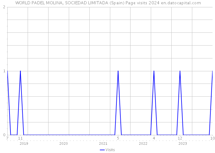  WORLD PADEL MOLINA, SOCIEDAD LIMITADA (Spain) Page visits 2024 