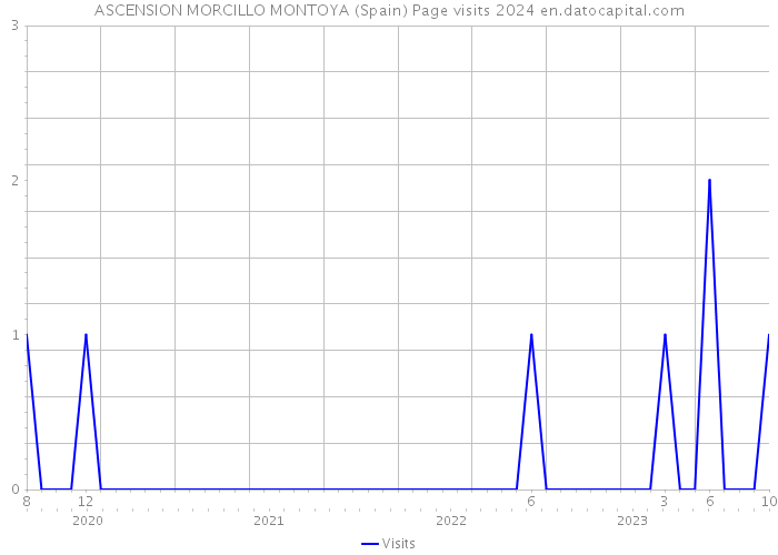 ASCENSION MORCILLO MONTOYA (Spain) Page visits 2024 