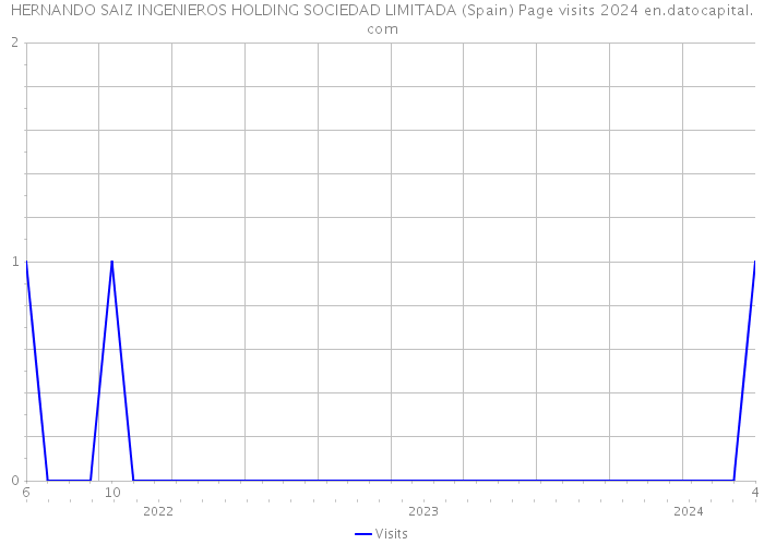 HERNANDO SAIZ INGENIEROS HOLDING SOCIEDAD LIMITADA (Spain) Page visits 2024 