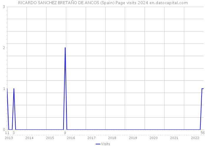 RICARDO SANCHEZ BRETAÑO DE ANCOS (Spain) Page visits 2024 