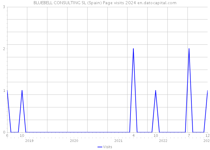 BLUEBELL CONSULTING SL (Spain) Page visits 2024 