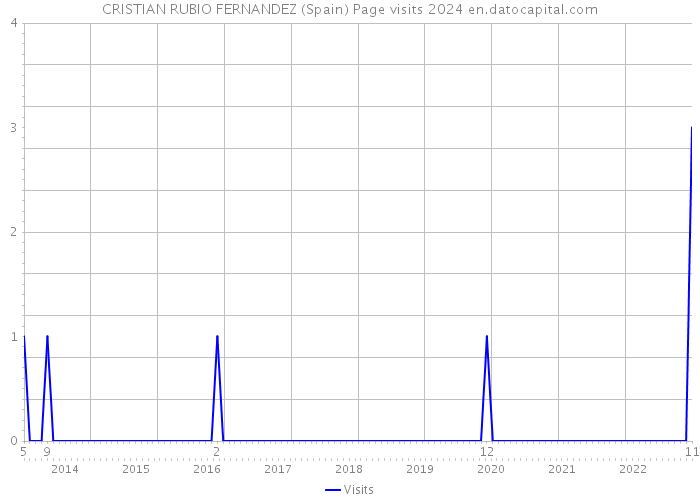 CRISTIAN RUBIO FERNANDEZ (Spain) Page visits 2024 