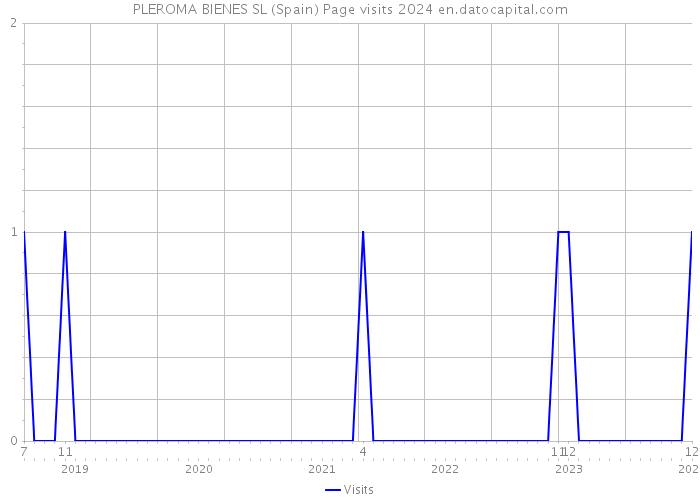 PLEROMA BIENES SL (Spain) Page visits 2024 