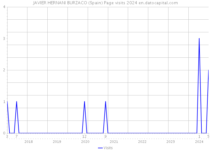 JAVIER HERNANI BURZACO (Spain) Page visits 2024 